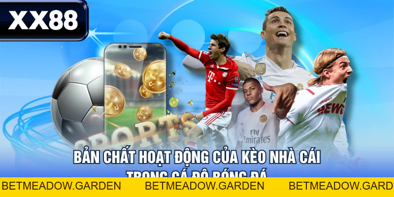 Khám Phá Kèo Nhà Cái Từ A Đến Z - Cẩm Nang Cho Người Mới - betmeadow