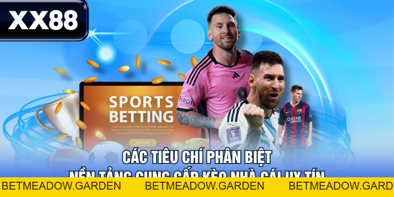 Khám Phá Kèo Nhà Cái Từ A Đến Z - Cẩm Nang Cho Người Mới - betmeadow