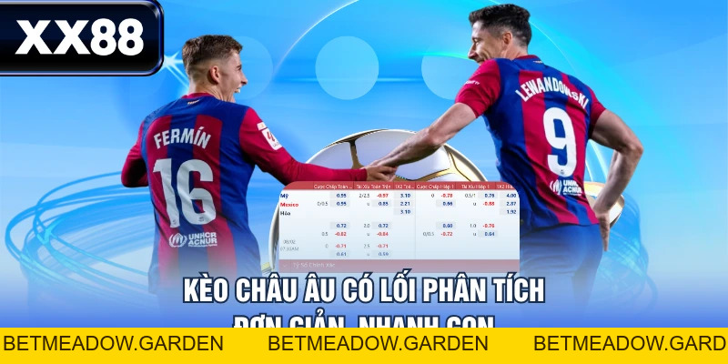 Kèo Châu Âu - Hiểu Biết Cơ Bản Và Những Sai Lầm Nên Tránh - betmeadow