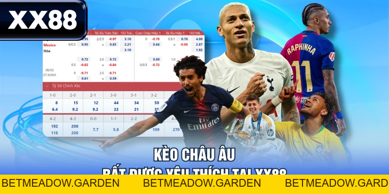 Kèo Châu Âu - Hiểu Biết Cơ Bản Và Những Sai Lầm Nên Tránh - betmeadow