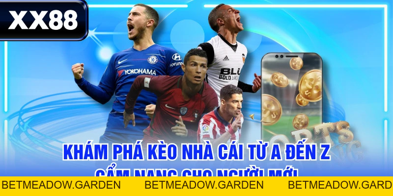 Khám Phá Kèo Nhà Cái Từ A Đến Z - Cẩm Nang Cho Người Mới - betmeadow