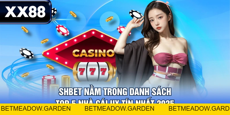 Top 5 Nhà Cái Uy Tín Nhất 2026 Do Người Việt Bình Chọn - betmeadow