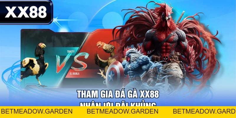 Đá Gà XX88 - Trải Nghiệm Dịch Vụ Đa Dạng, Nhận Quà Hấp Dẫn - betmeadow