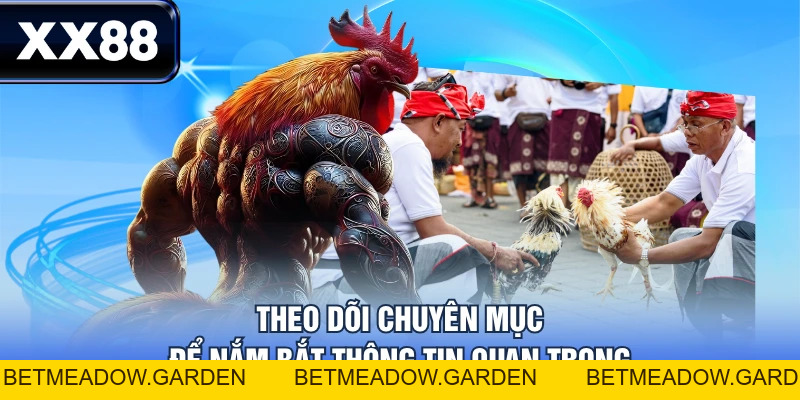 Đá Gà XX88 - Trải Nghiệm Dịch Vụ Đa Dạng, Nhận Quà Hấp Dẫn - betmeadow