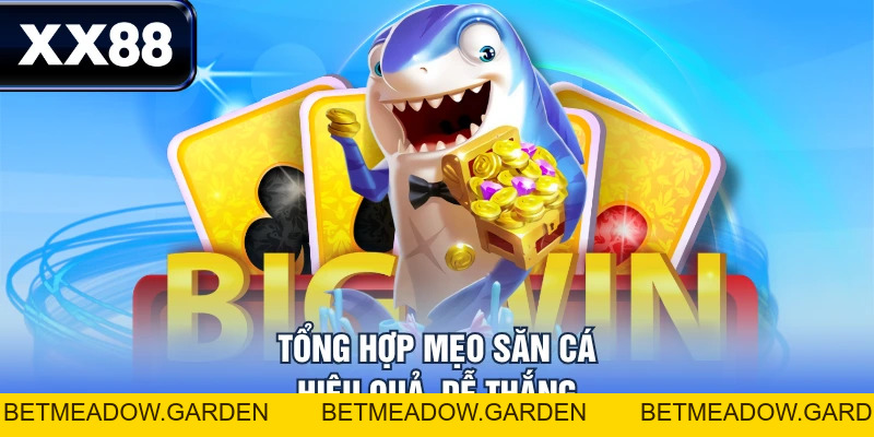 Bắn Cá Xèng - Game Săn Xu Đổi Thưởng Không Nên Bỏ lỡ - betmeadow